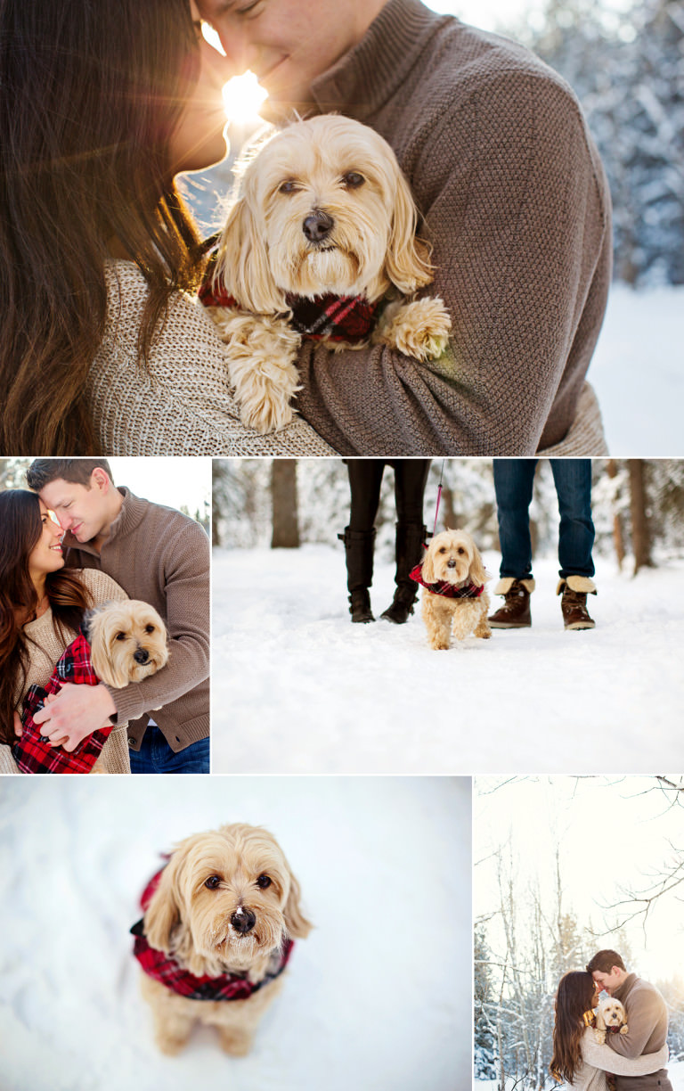 Ashley & Ladislav- Edmonton Lifestyle Photography
