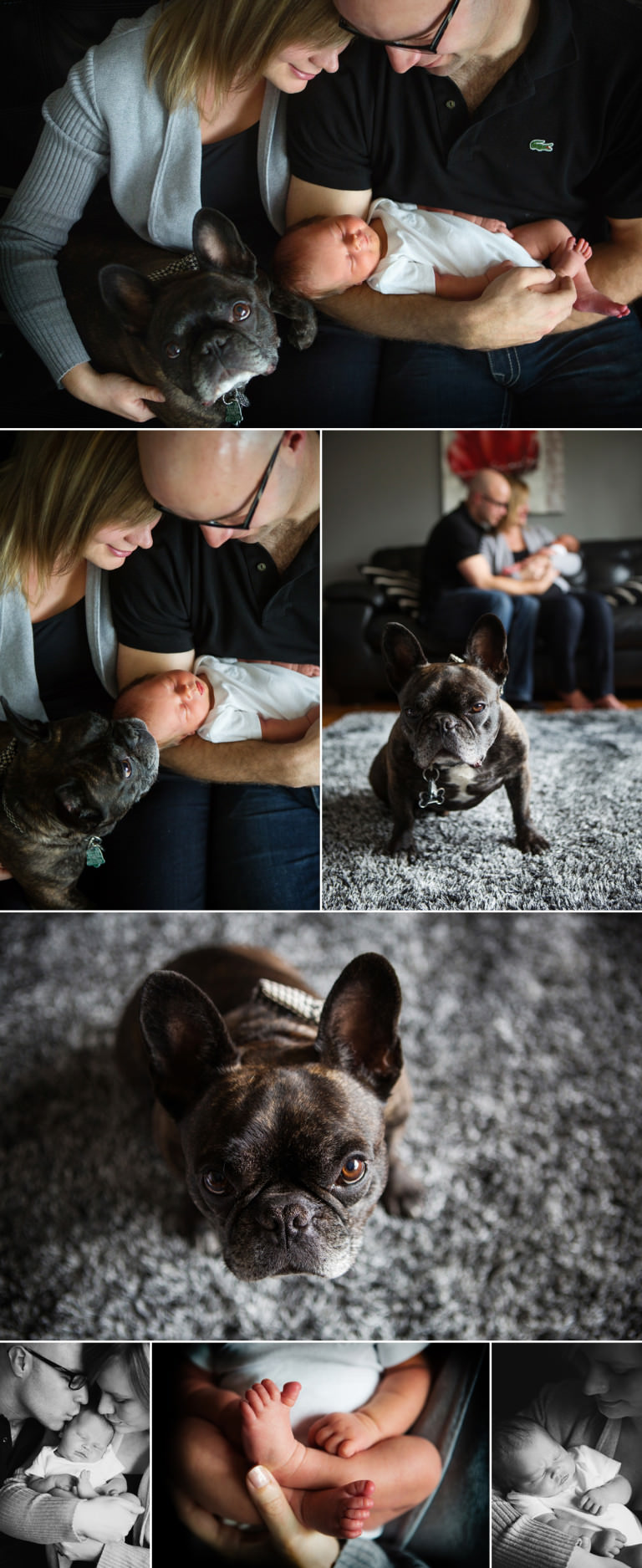 Adler- Edmonton Newborn Photography