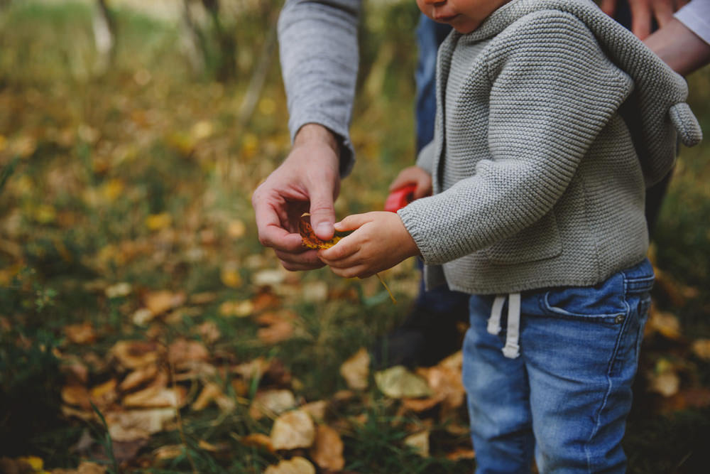 Little boy holding a leaf