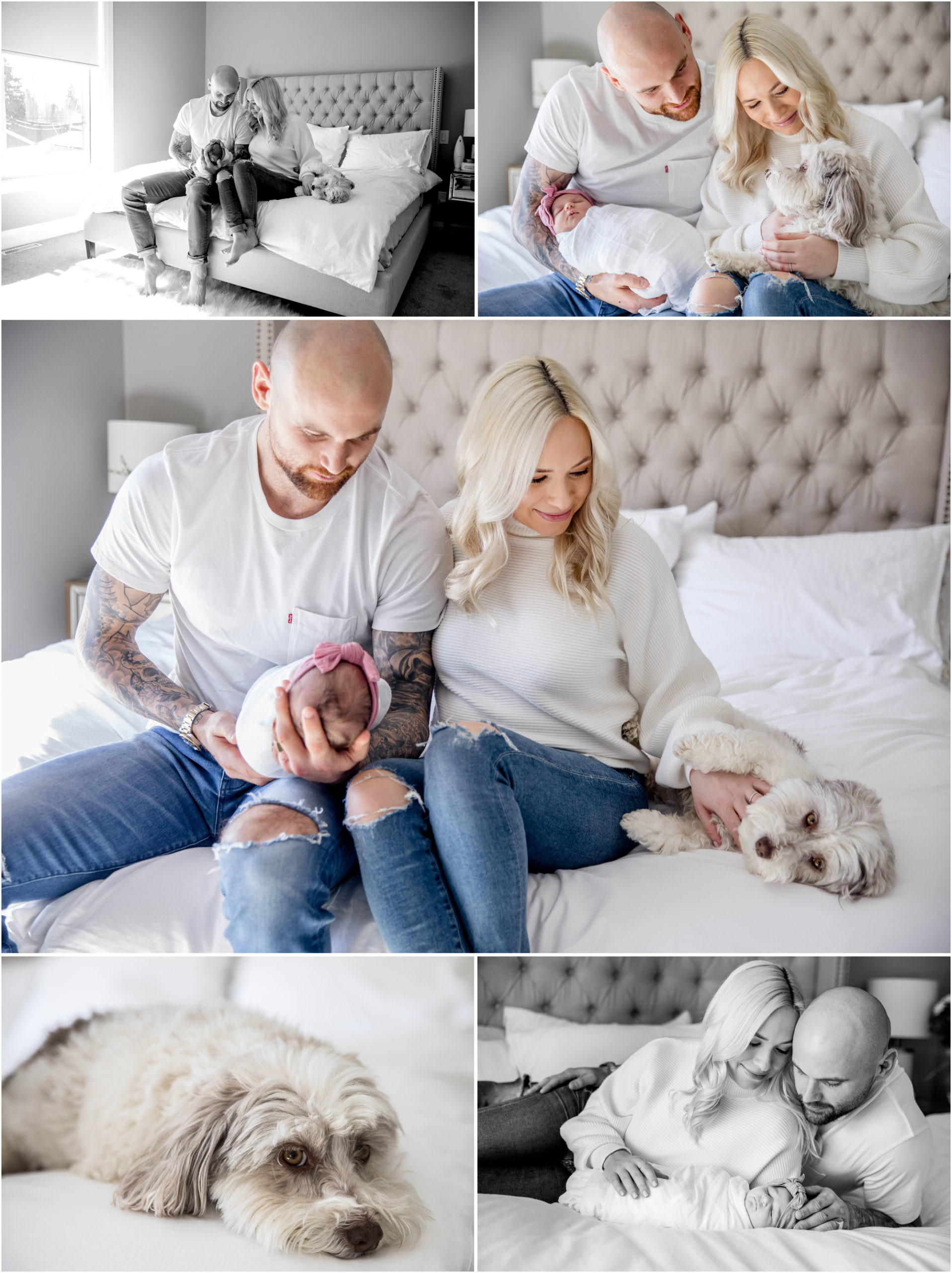 In-Home Family Portrait Sessions