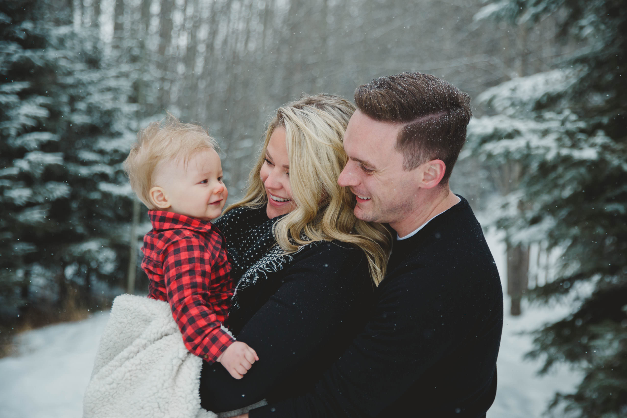 Christmas mini sessions in edmonton