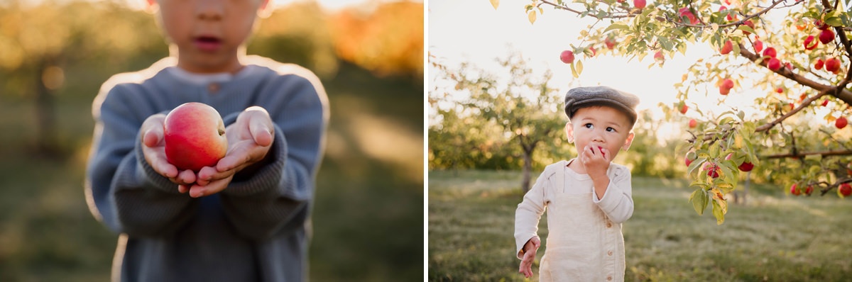 Edmonton Family Portraits at an Apple Orchard
