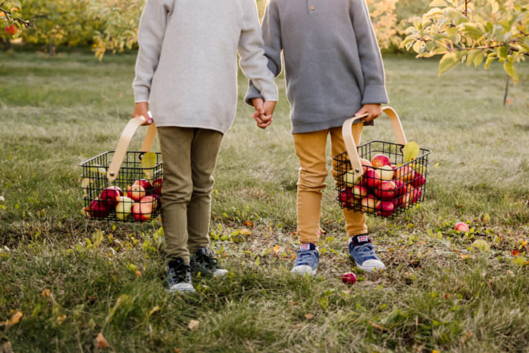 Edmonton Family Portraits at an Apple Orchard