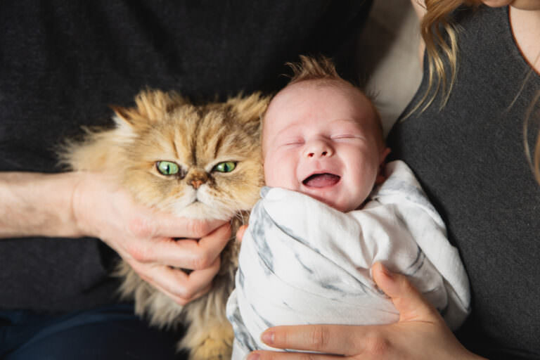 Newborn Portraits- Sherwood Park Newborn Photography